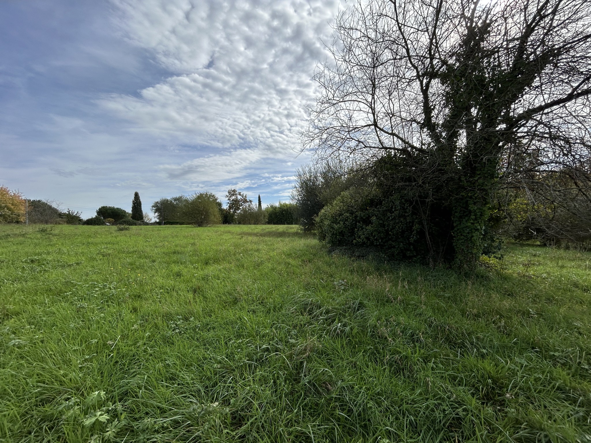 Vente Terrain à Donzenac 0 pièce