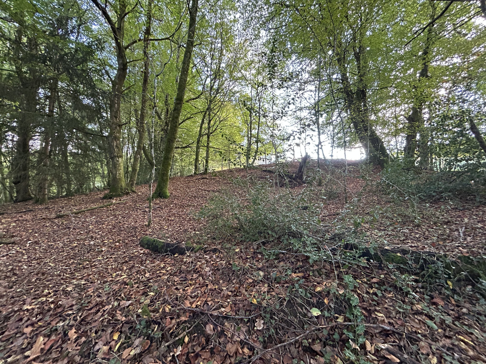 Vente Maison à Corrèze 3 pièces