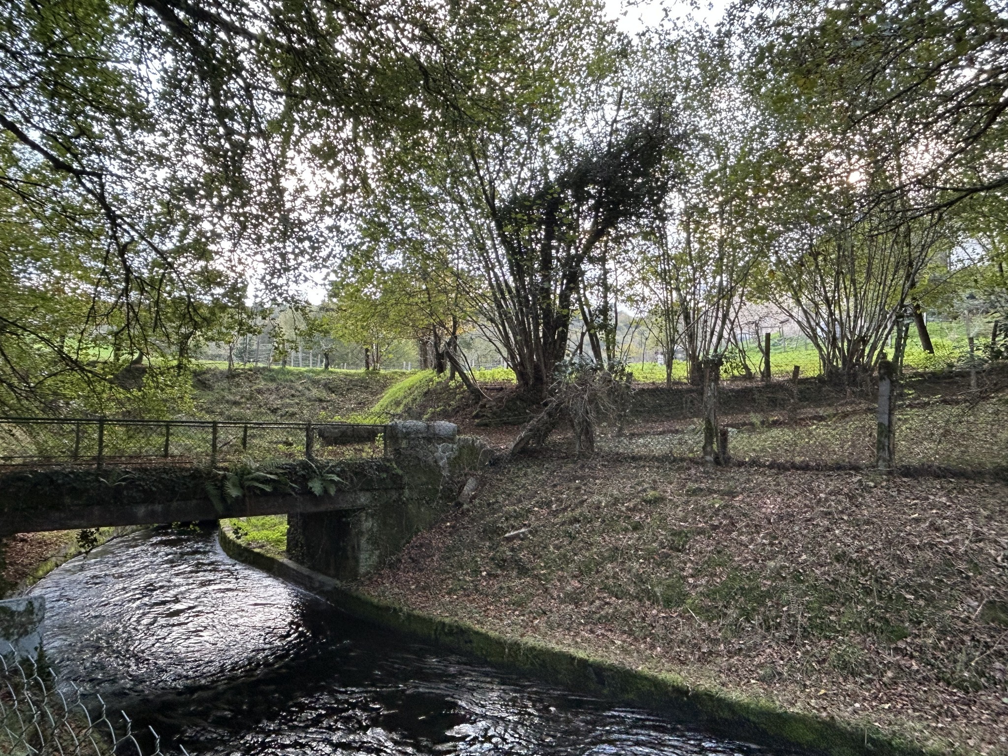 Vente Maison à Corrèze 3 pièces