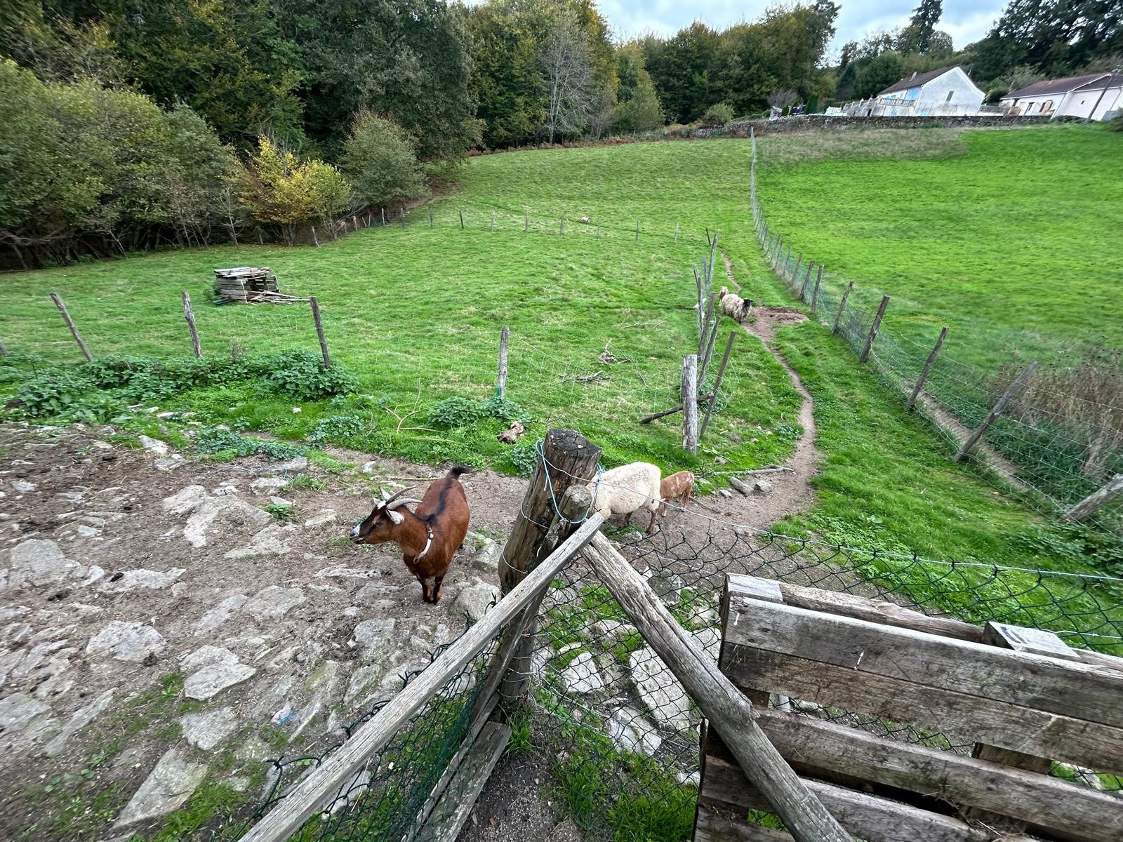 Vente Maison à Corrèze 3 pièces