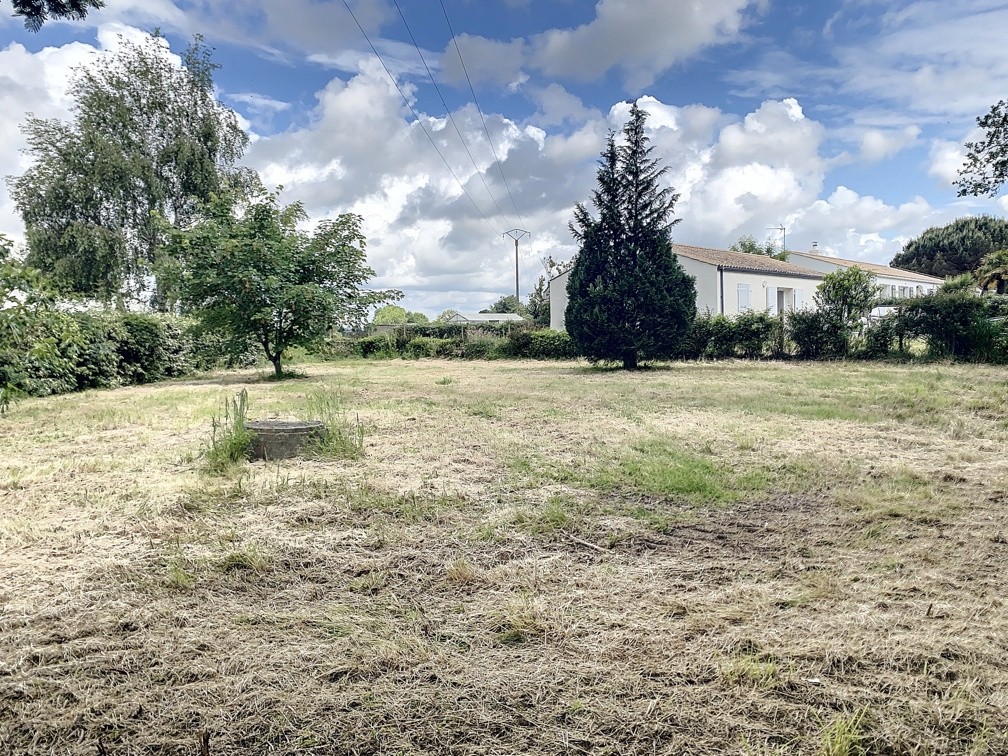 Vente Terrain à Talmont-Saint-Hilaire 0 pièce