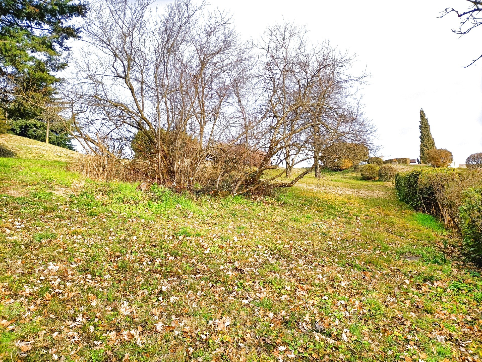 Vente Maison à Feyzin 6 pièces