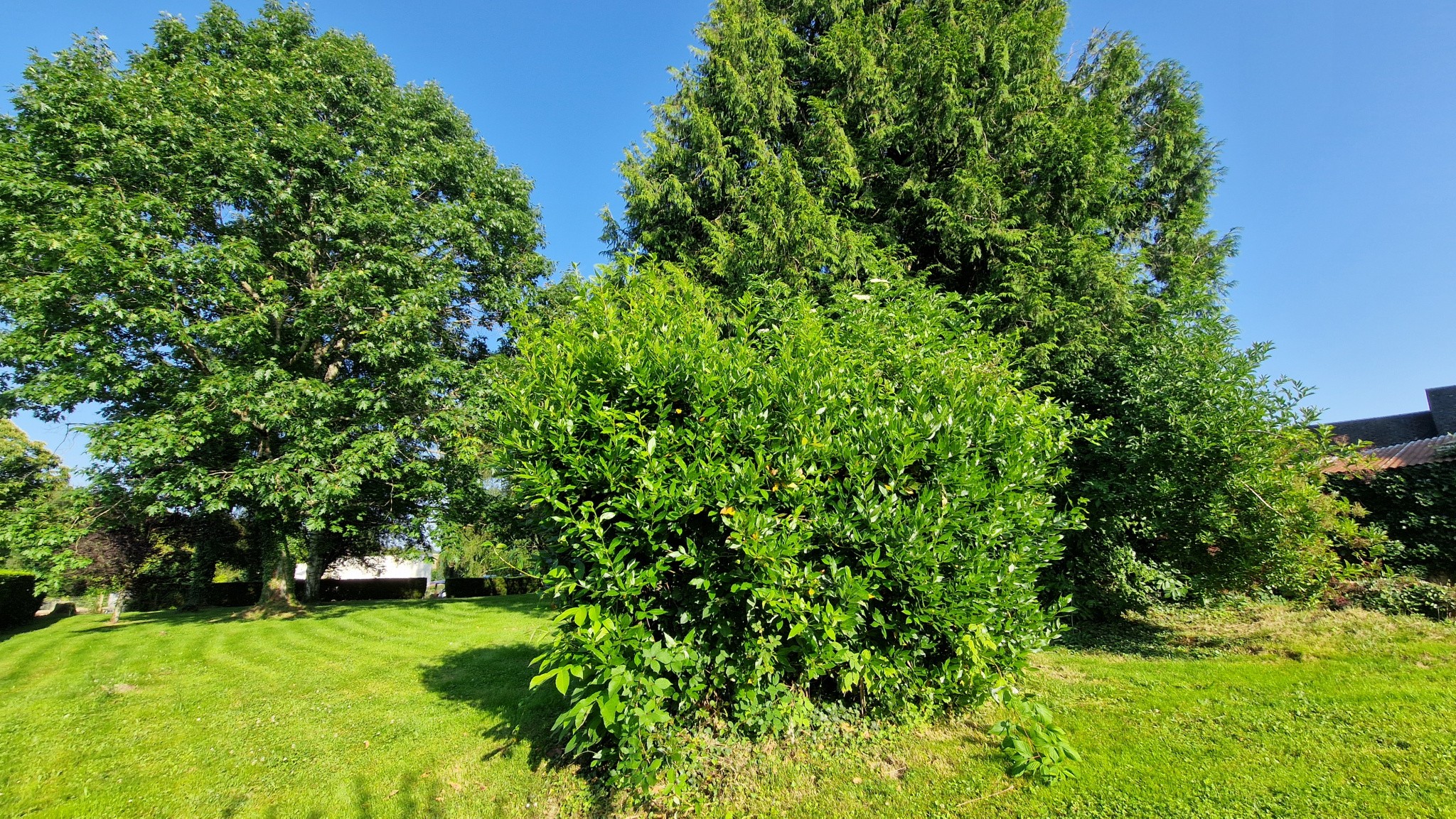 Vente Maison à Arnac-Pompadour 6 pièces