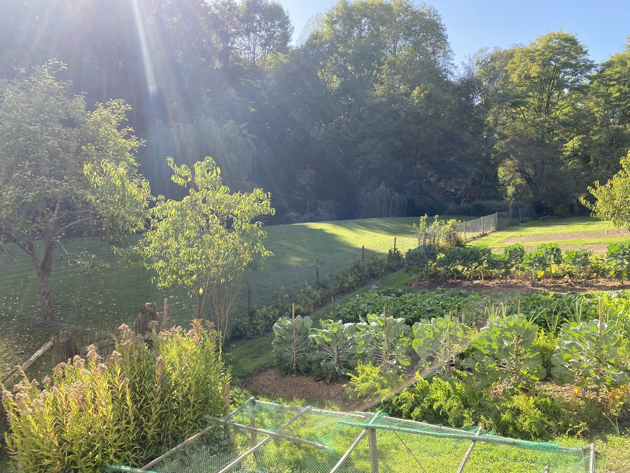 Vente Maison à Pierre-Buffière 8 pièces