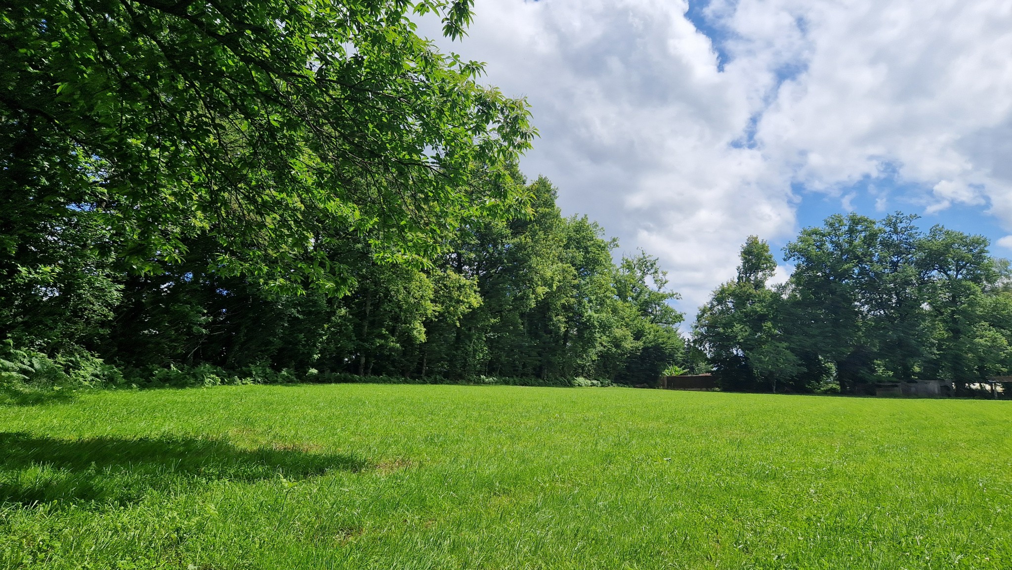 Vente Terrain à Lubersac 0 pièce