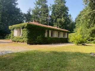 Vente Maison à Châteauneuf-la-Forêt 7 pièces