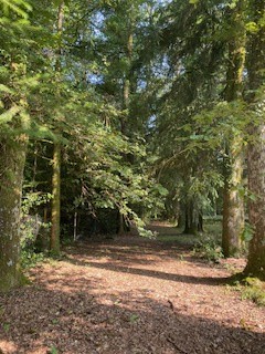 Vente Maison à Châteauneuf-la-Forêt 7 pièces