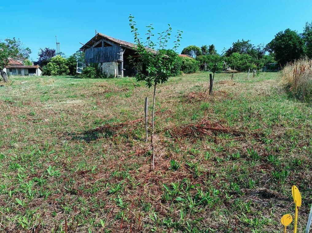 Vente Terrain à Lectoure 0 pièce