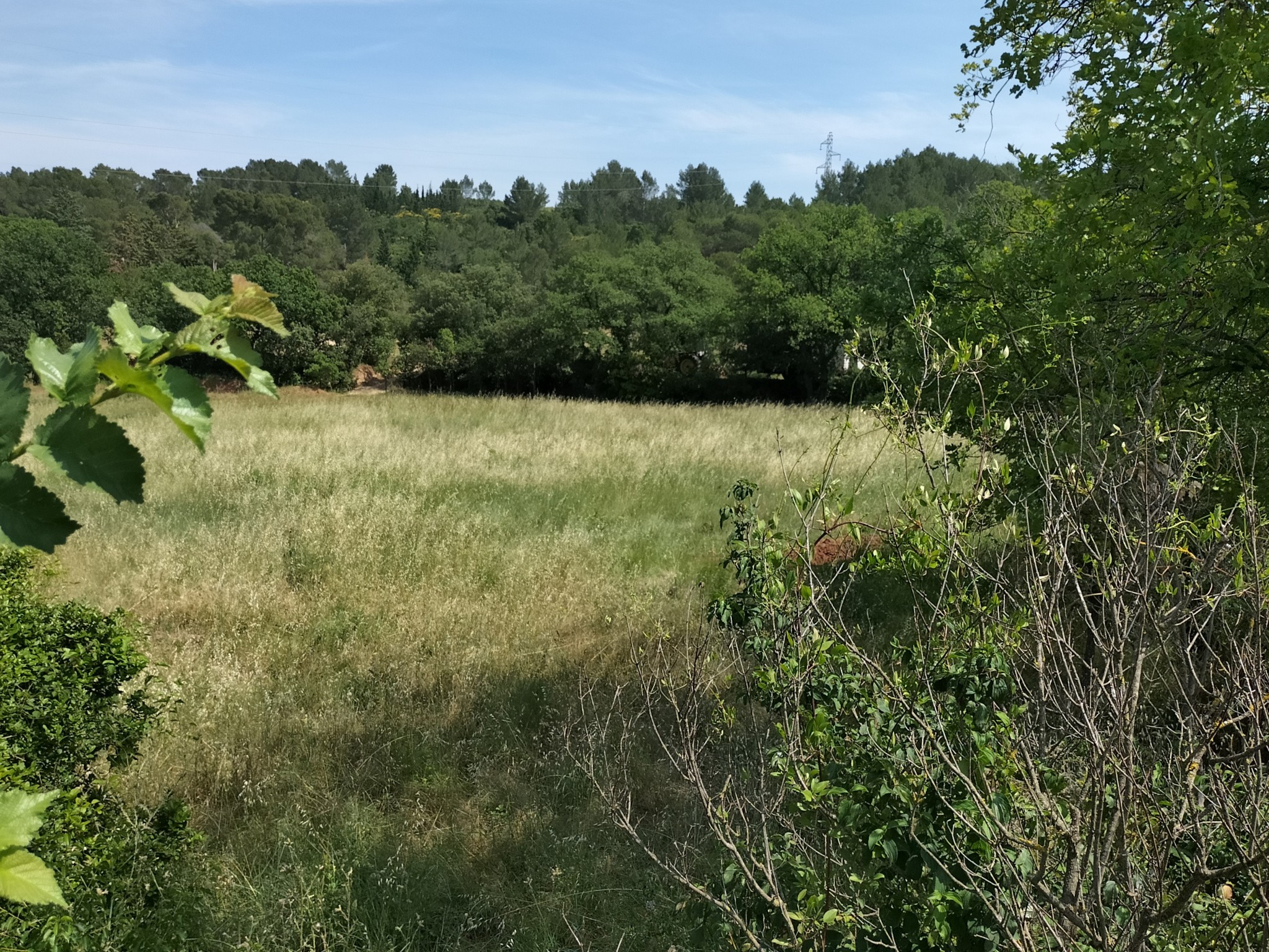 Vente Terrain à Clermont-l'Hérault 0 pièce