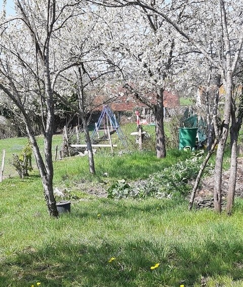 Vente Maison à Saint-Menoux 5 pièces