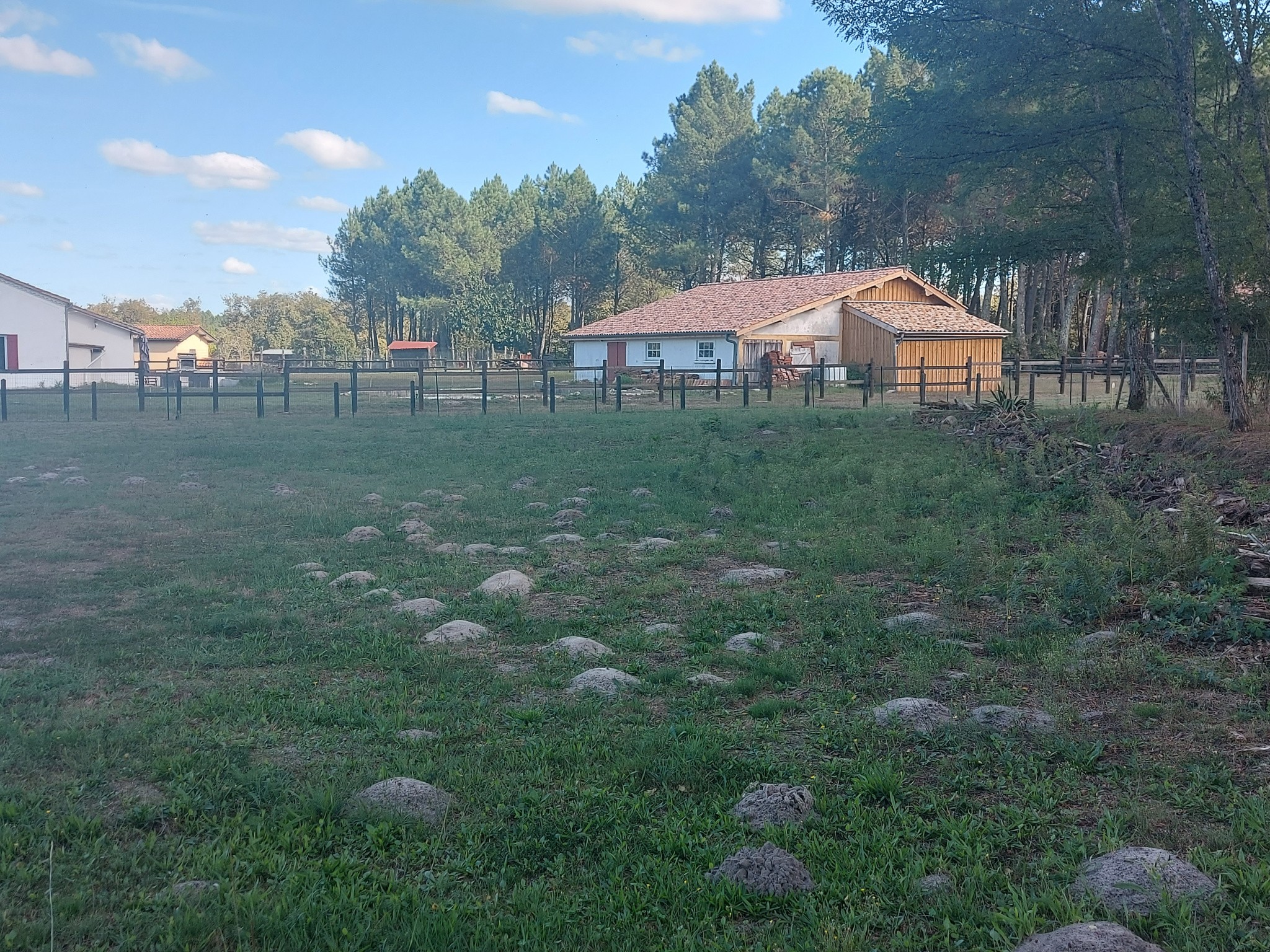 Vente Terrain à Bazas 0 pièce