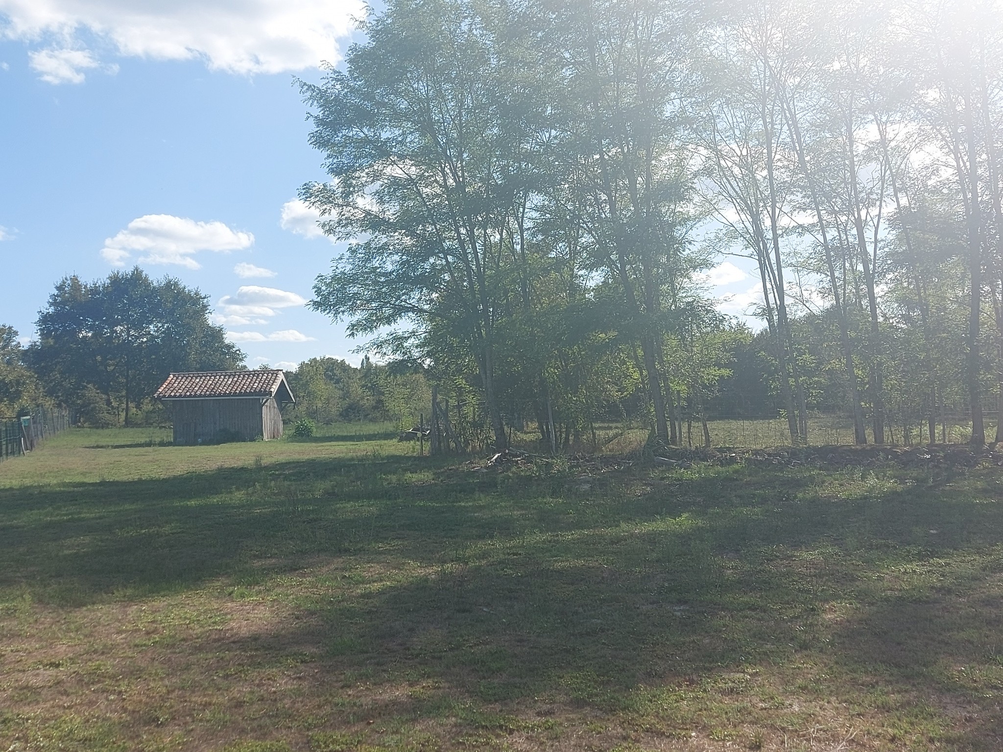 Vente Terrain à Bazas 0 pièce