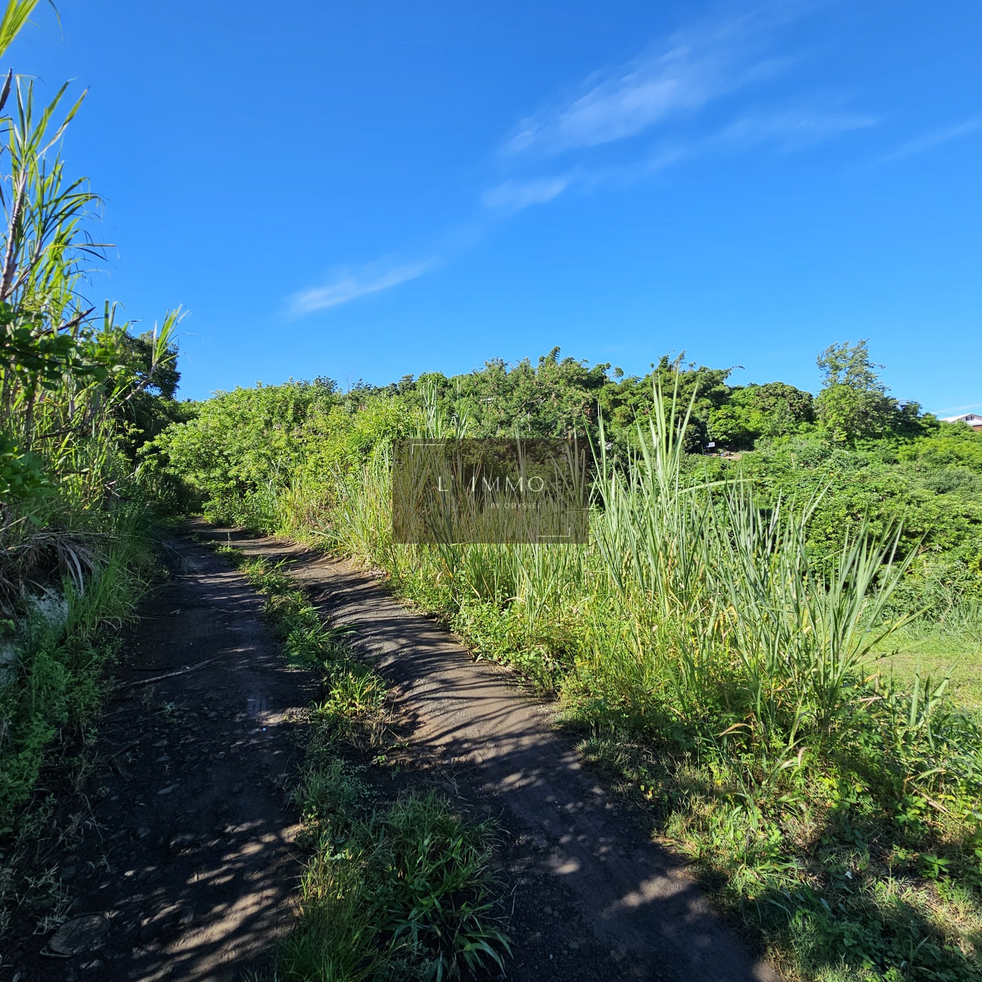 Vente Terrain à Saint-Paul 0 pièce