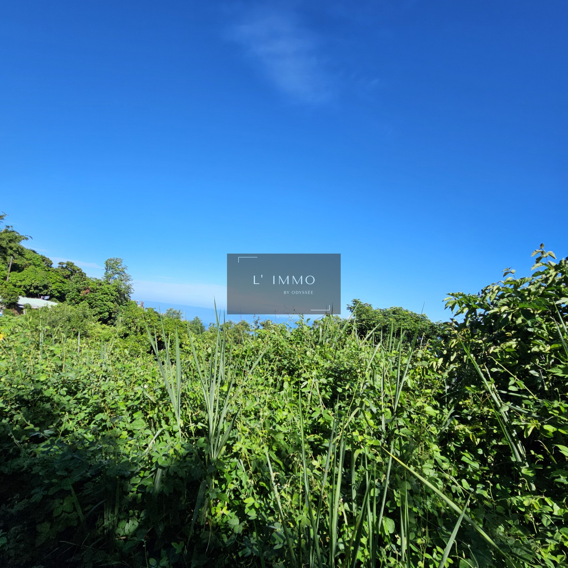 Vente Terrain à Saint-Paul 0 pièce