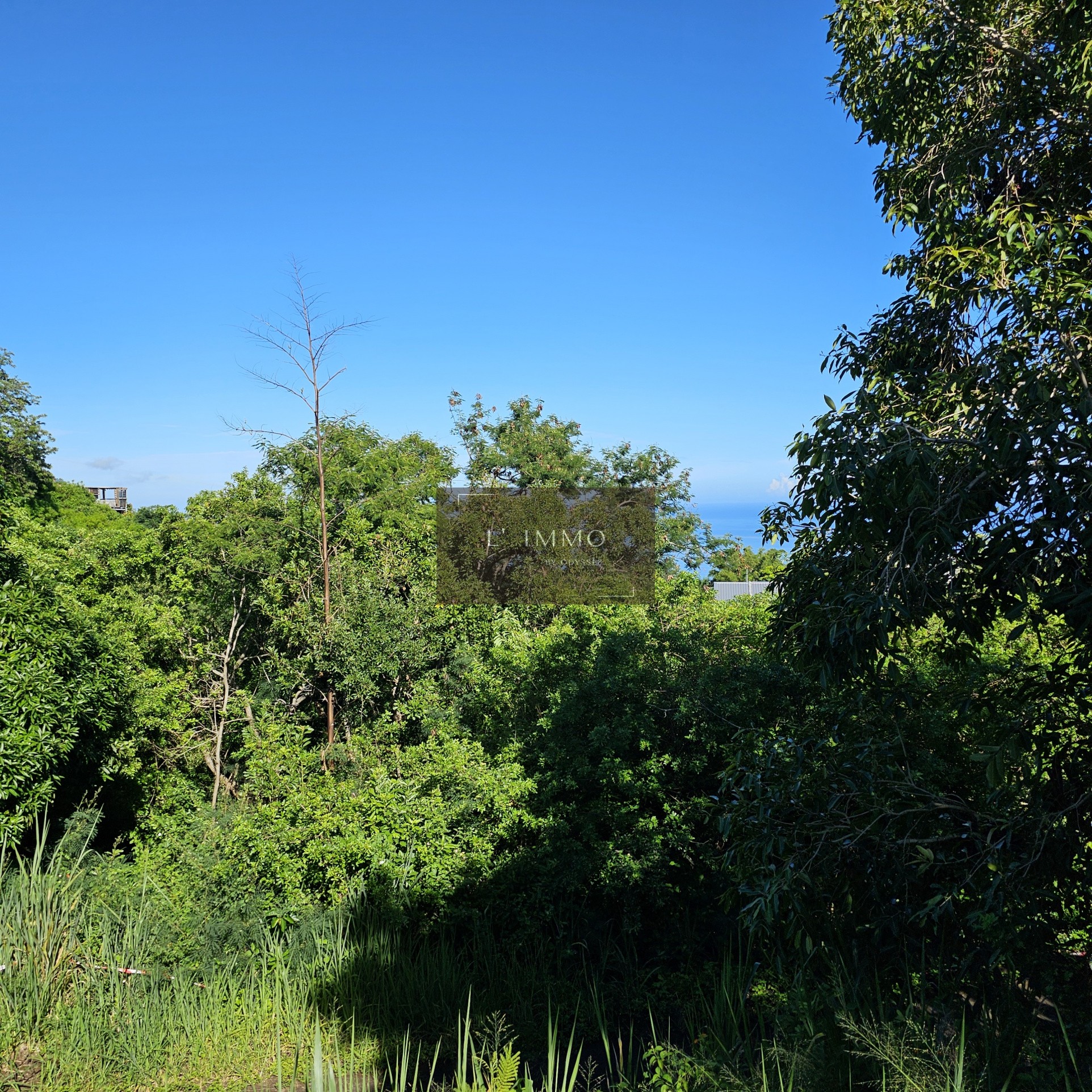 Vente Terrain à Saint-Paul 0 pièce