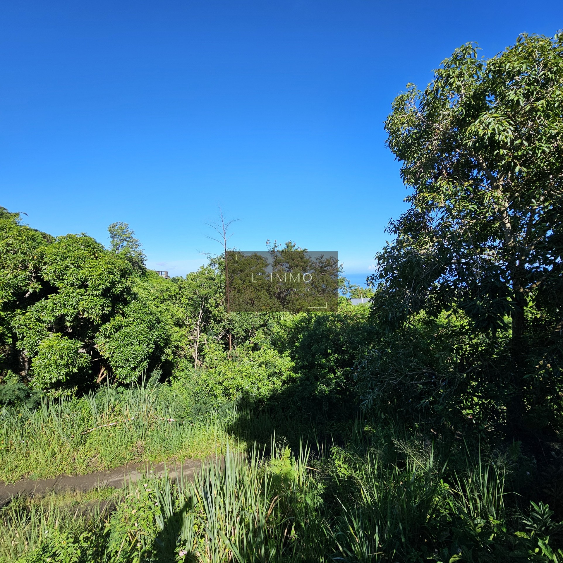 Vente Terrain à Saint-Paul 0 pièce