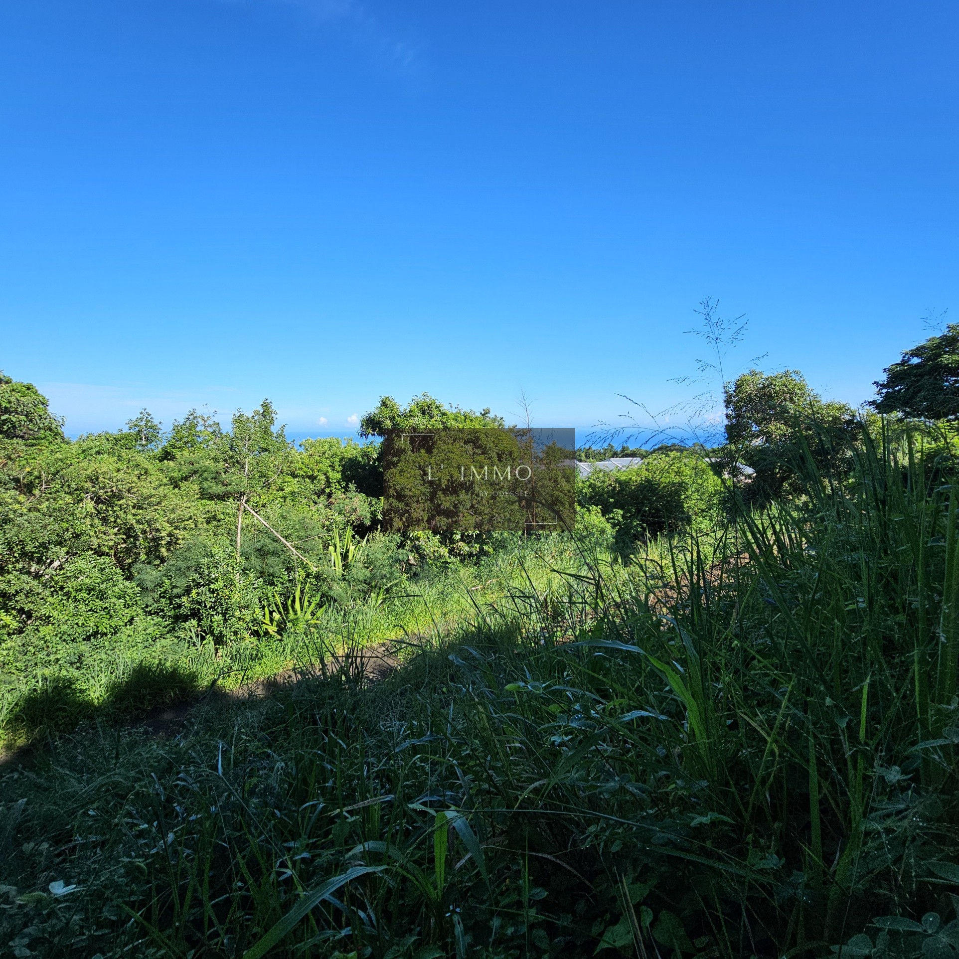 Vente Terrain à Saint-Paul 0 pièce