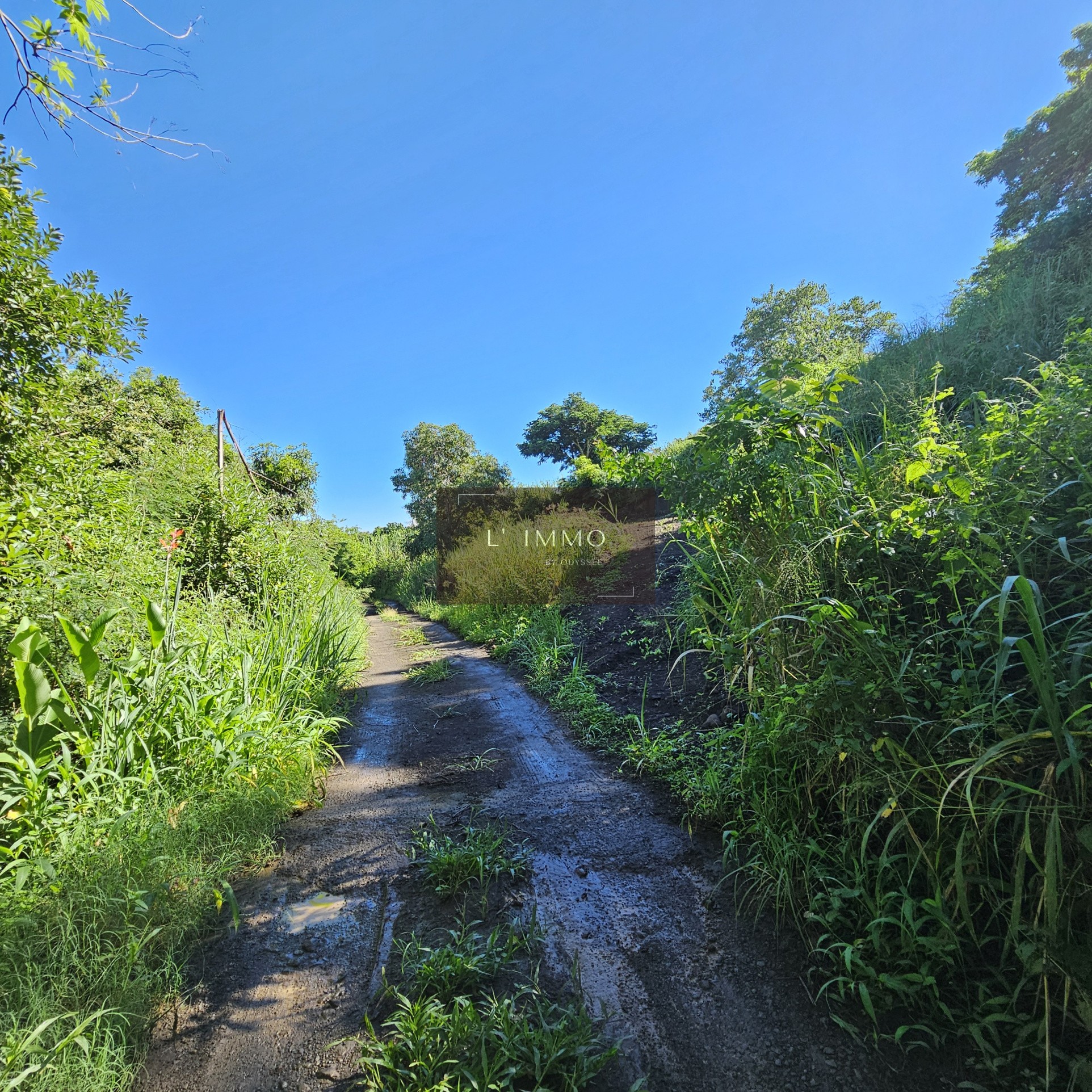 Vente Terrain à Saint-Paul 0 pièce