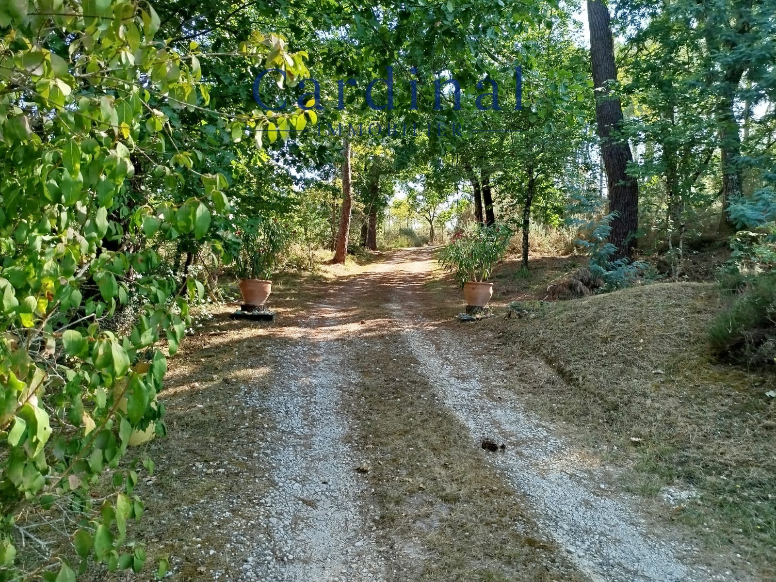 Vente Maison à Coursac 5 pièces