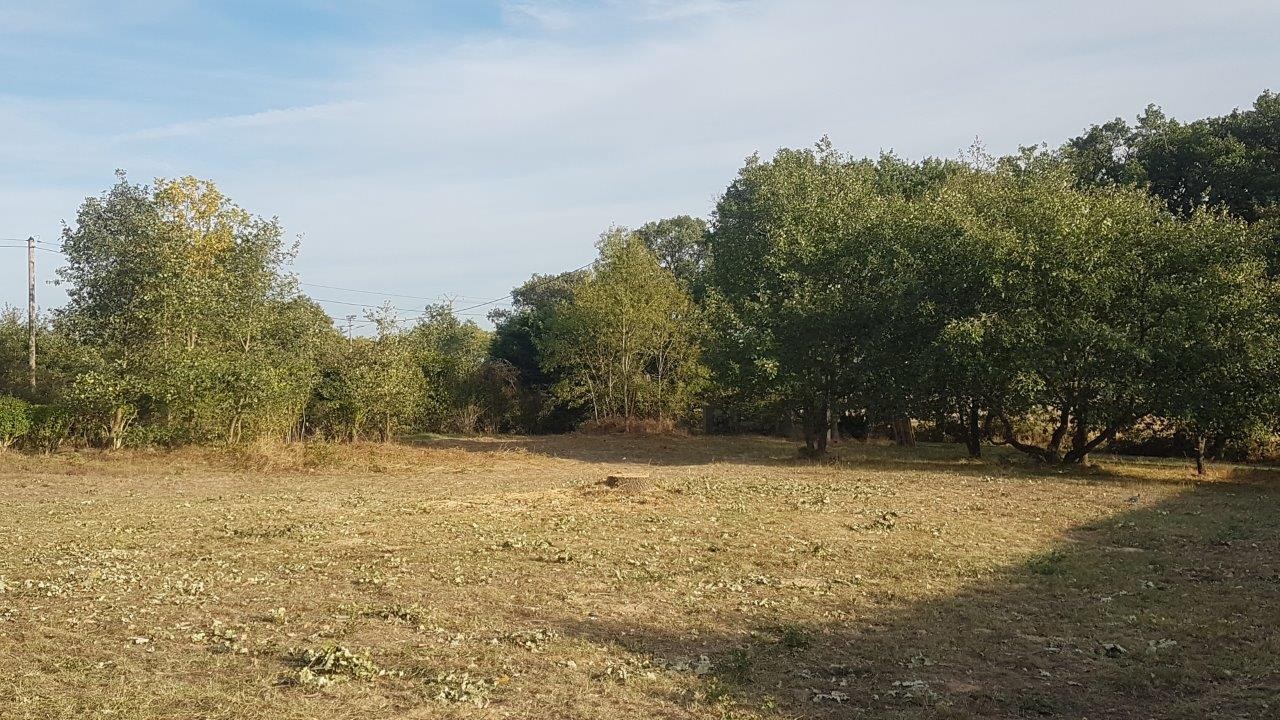 Vente Terrain à Plaisance-du-Touch 0 pièce