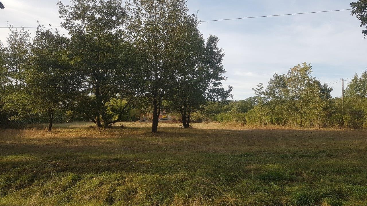 Vente Terrain à Plaisance-du-Touch 0 pièce