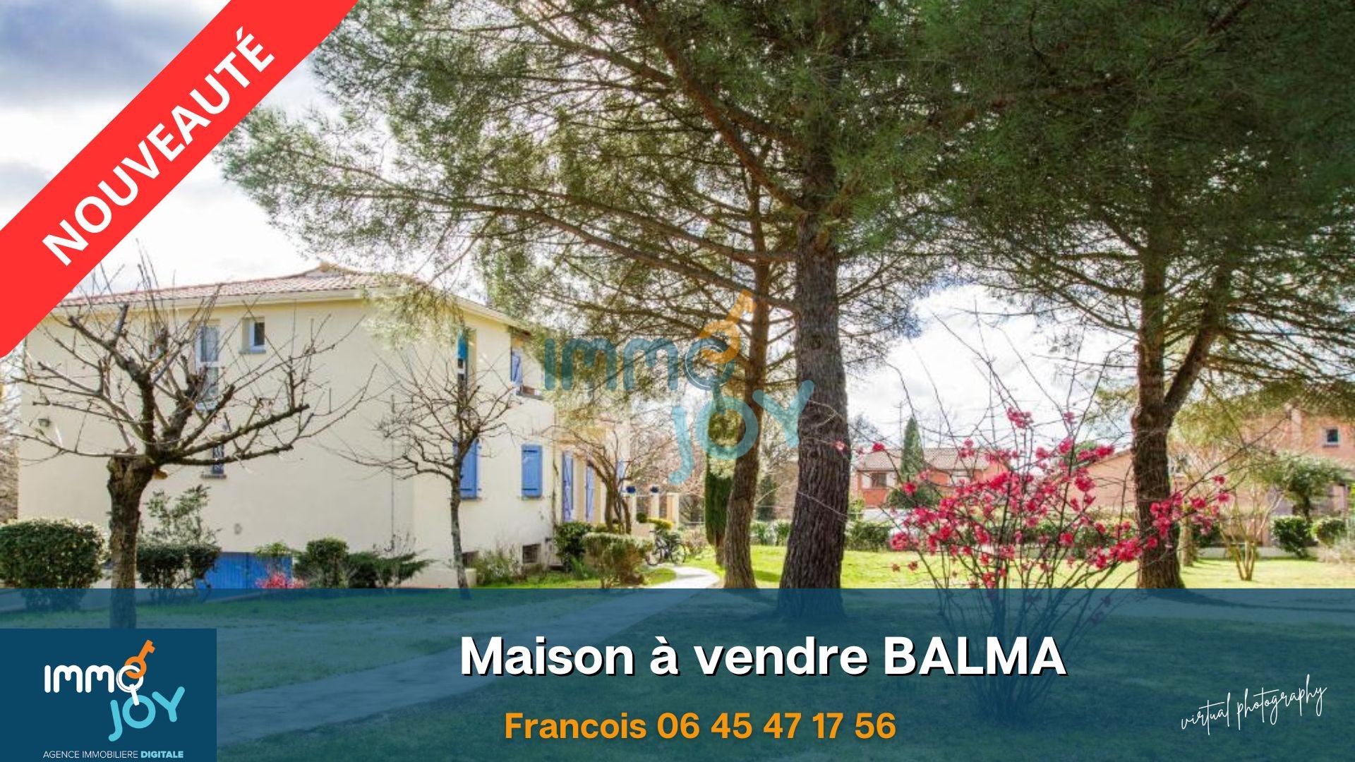 Vente Maison à Balma 9 pièces