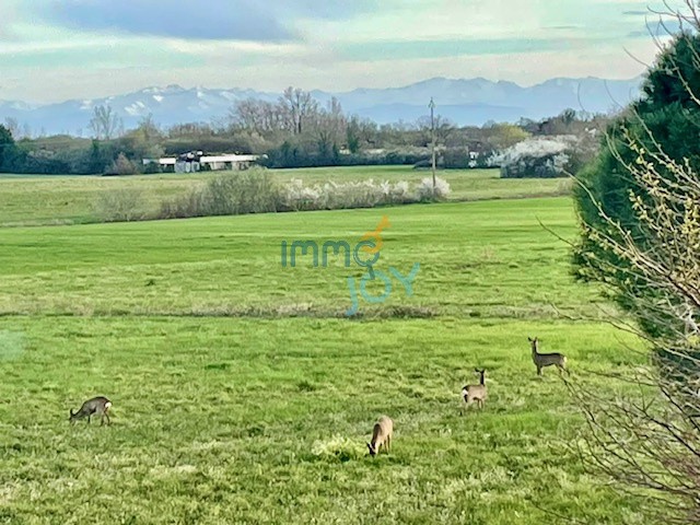 Vente Maison à Saint-Lys 6 pièces