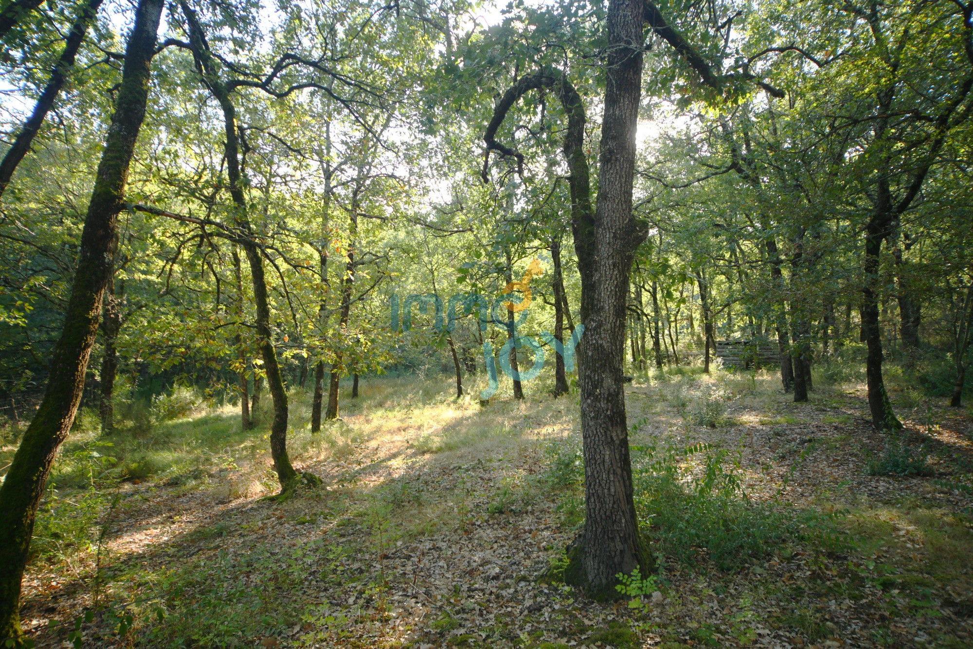 Vente Terrain à Auterive 0 pièce