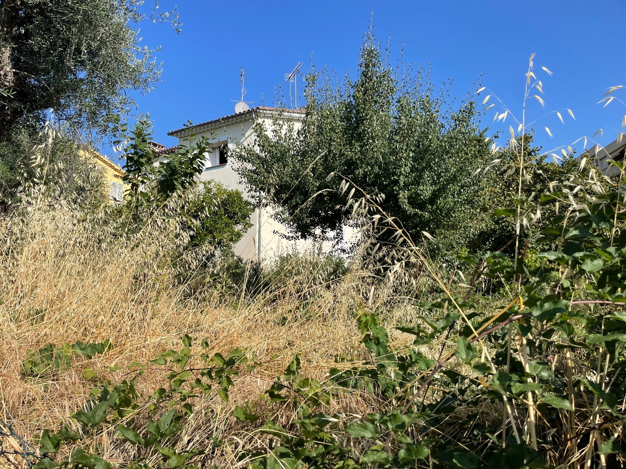 Vente Terrain à Vence 0 pièce