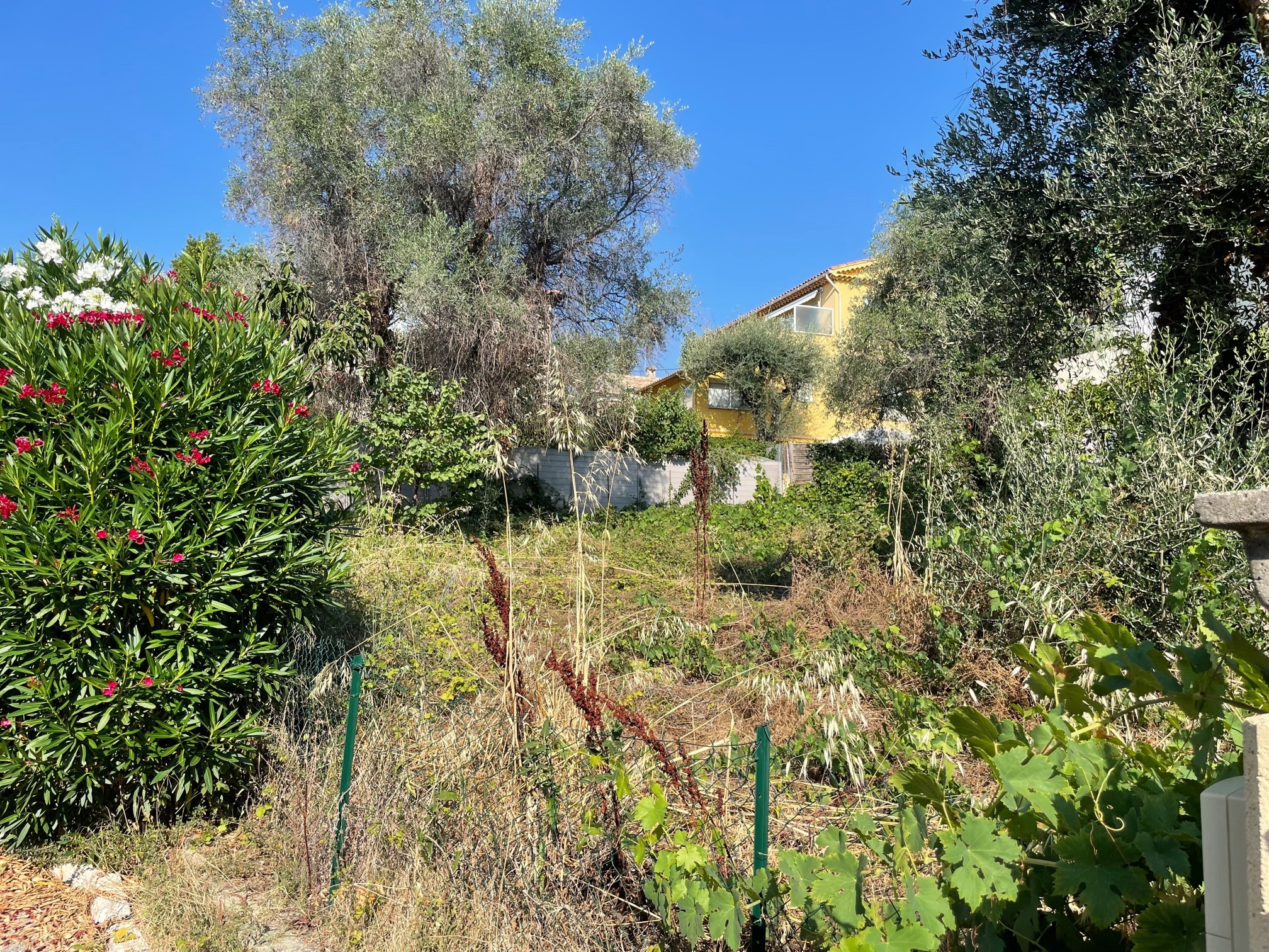 Vente Terrain à Vence 0 pièce