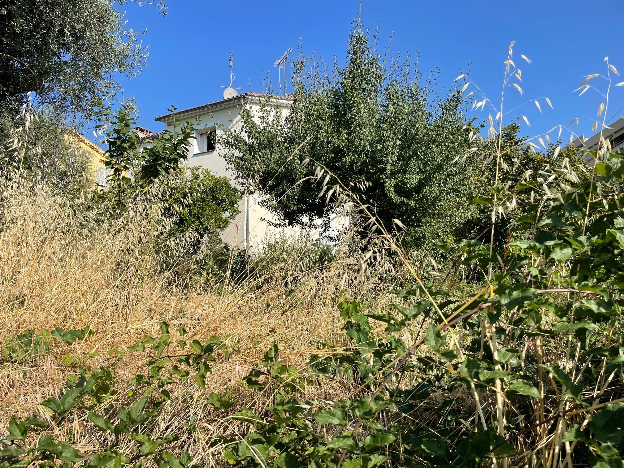 Vente Terrain à Vence 0 pièce