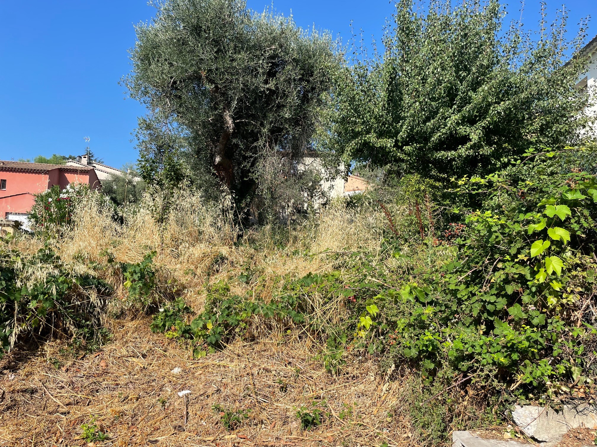 Vente Terrain à Vence 0 pièce