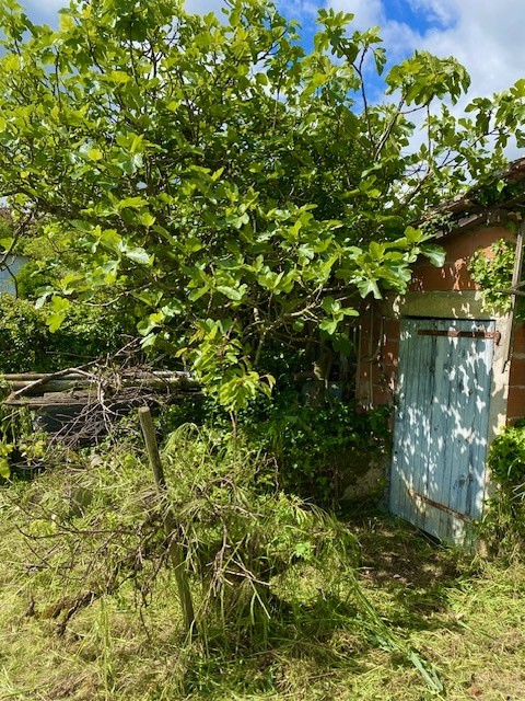 Vente Terrain à Saramon 0 pièce