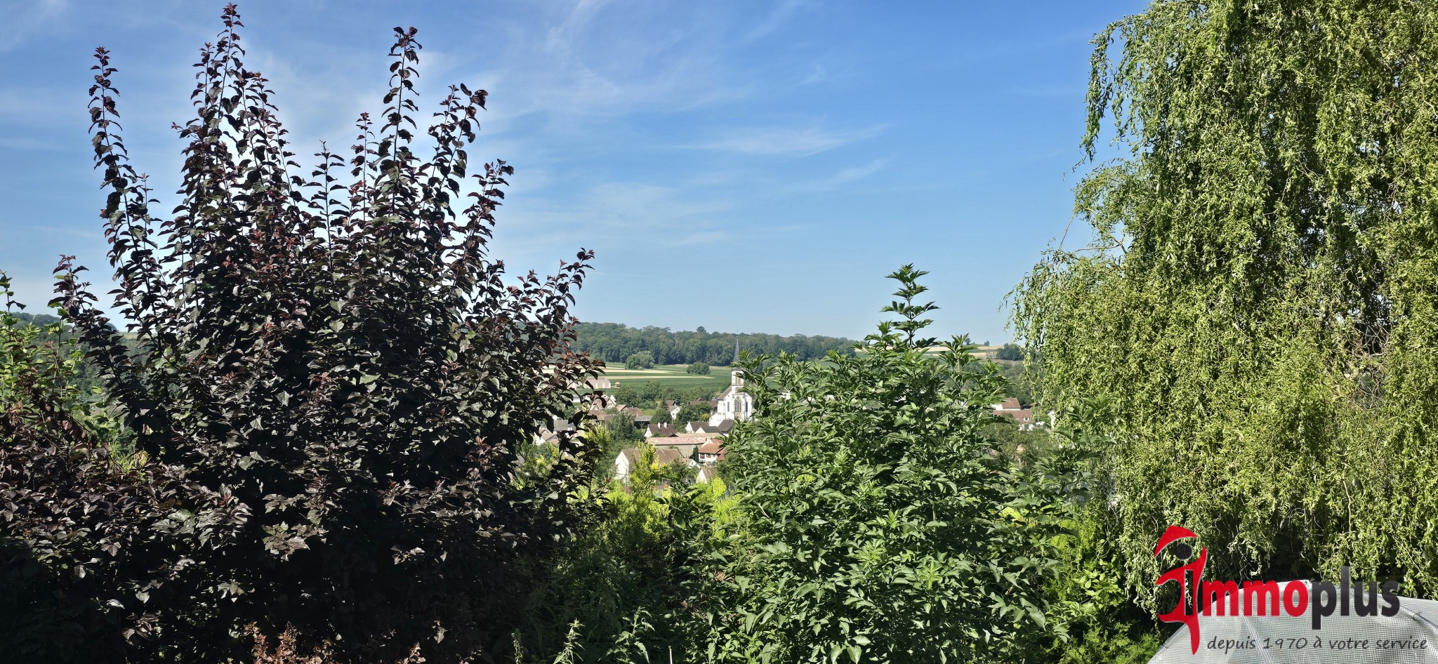 Vente Maison à Michelbach-le-Haut 6 pièces