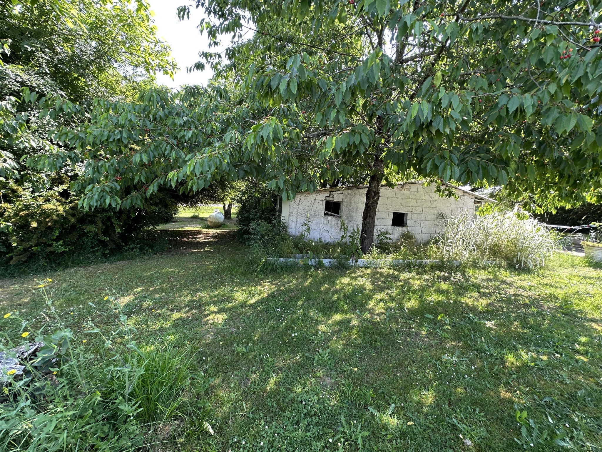 Viager Maison à Villeneuve-sur-Lot 3 pièces