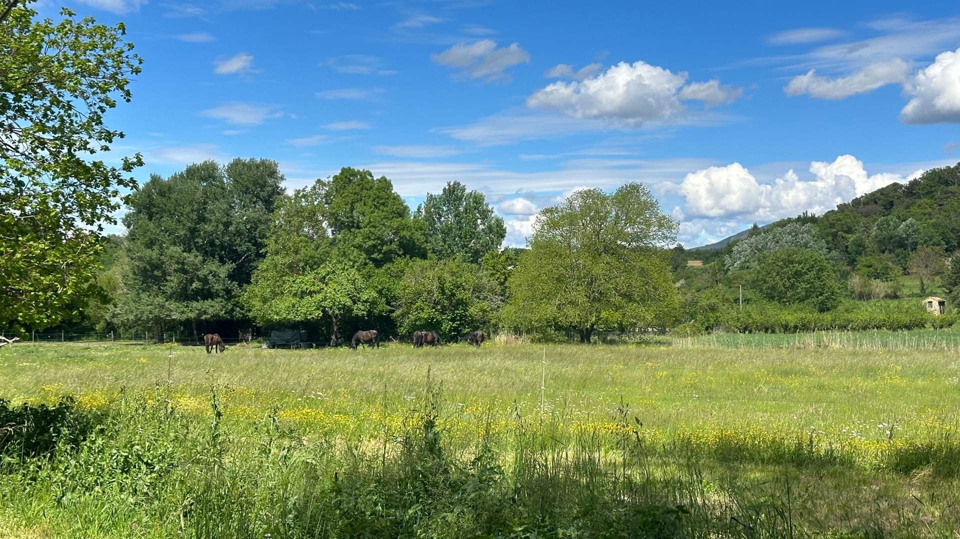 Vente Maison à Malaucène 16 pièces