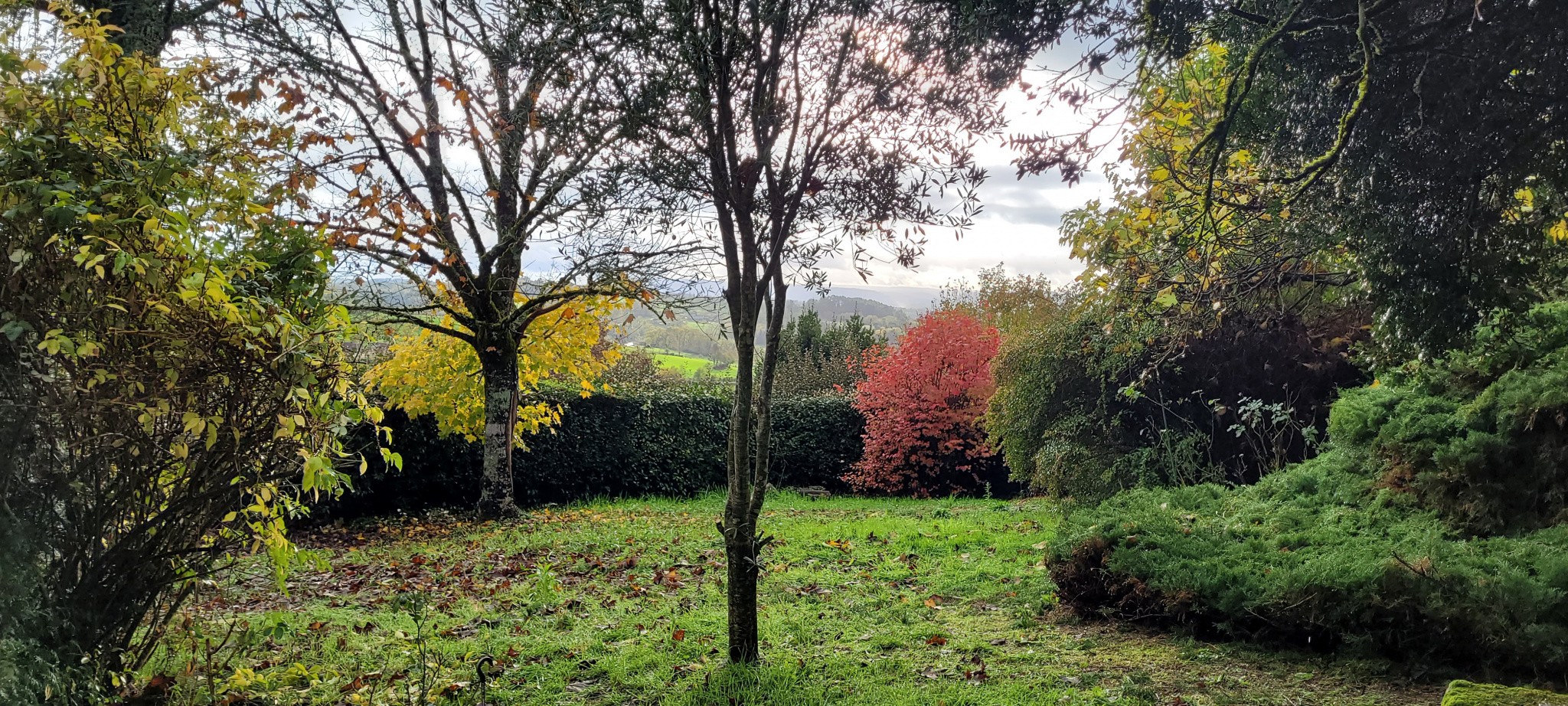 Vente Maison à Beaulieu-sur-Dordogne 7 pièces