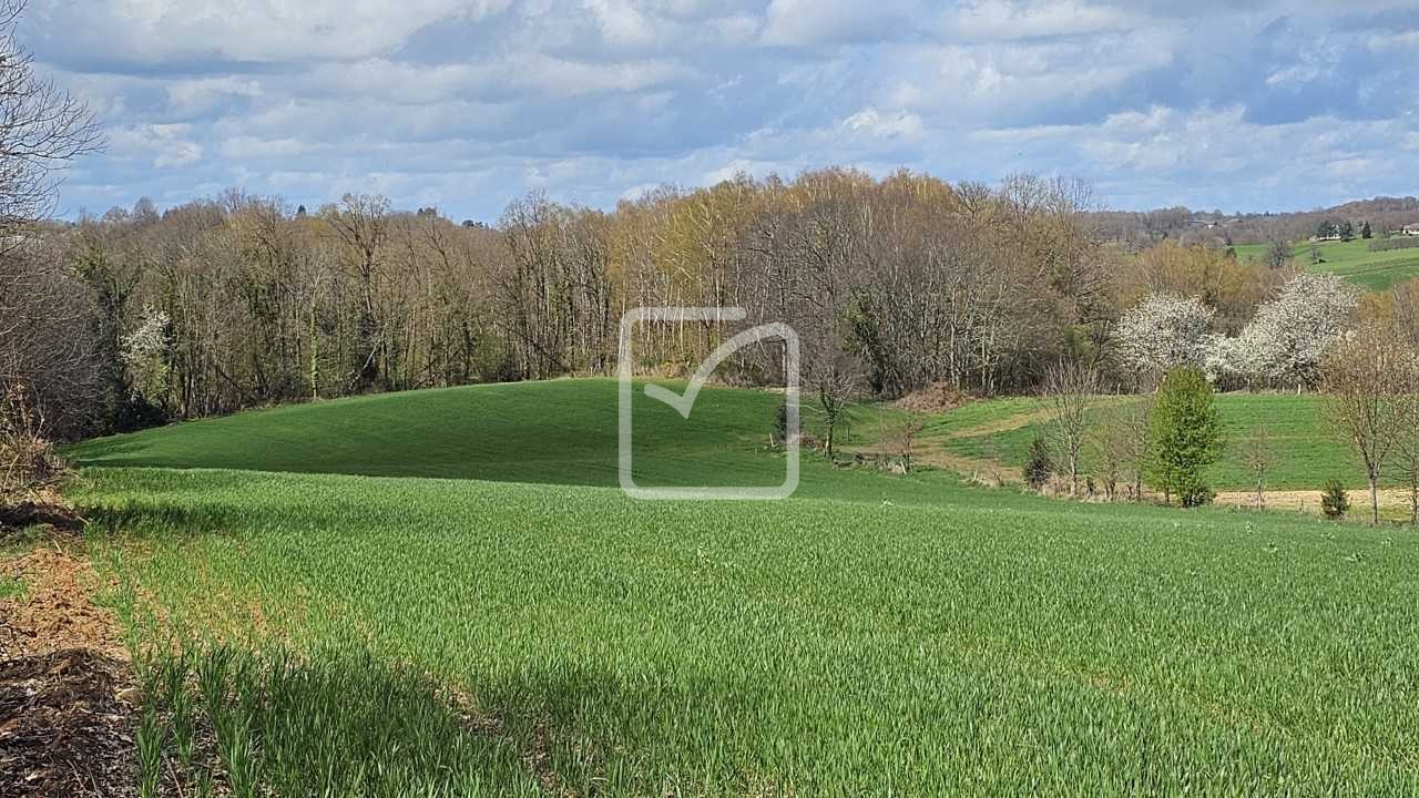 Vente Terrain à Vignols 0 pièce