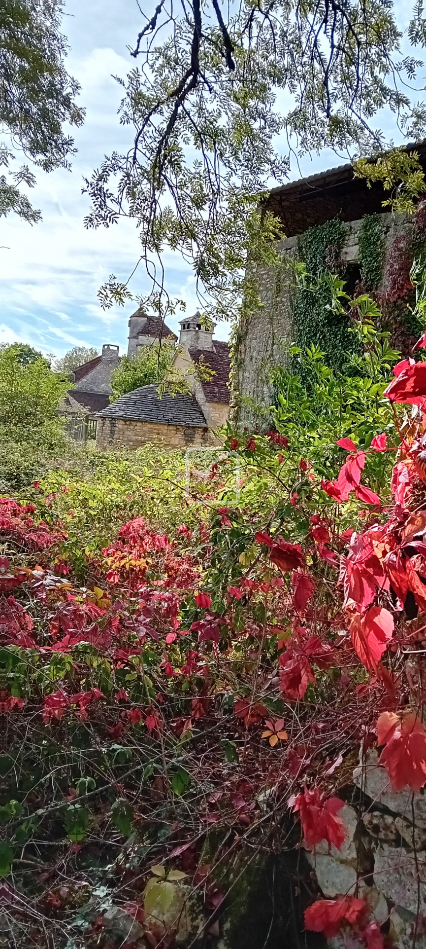 Vente Maison à Cuzance 2 pièces