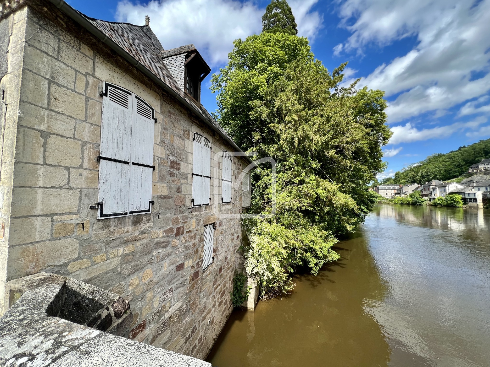 Vente Maison à Terrasson-Lavilledieu 12 pièces