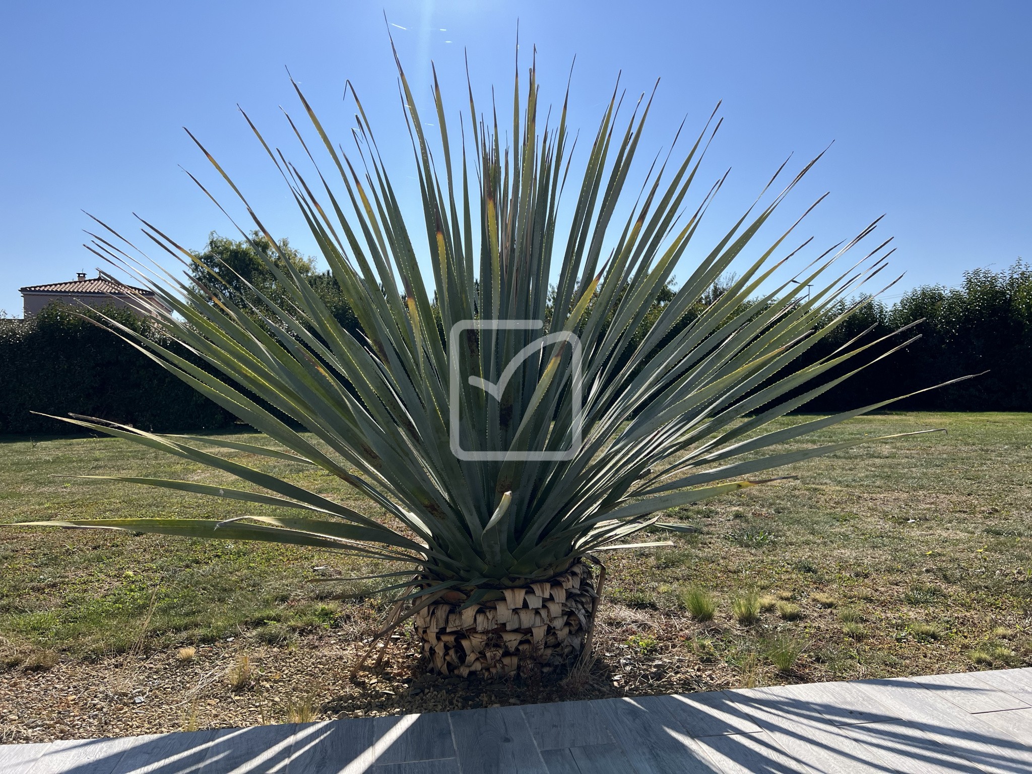 Vente Maison à Poitiers 6 pièces