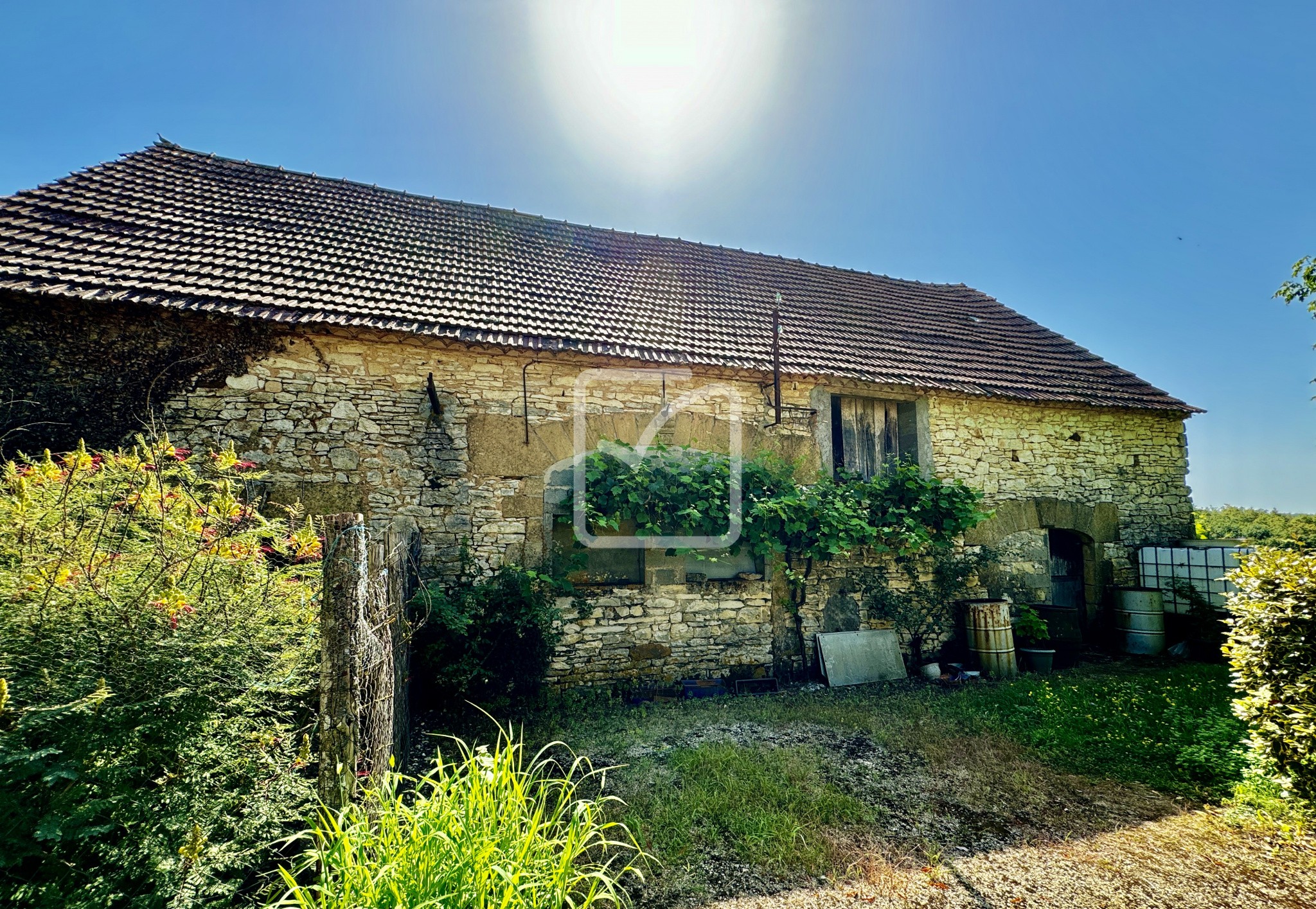 Viager Maison à Dégagnac 5 pièces