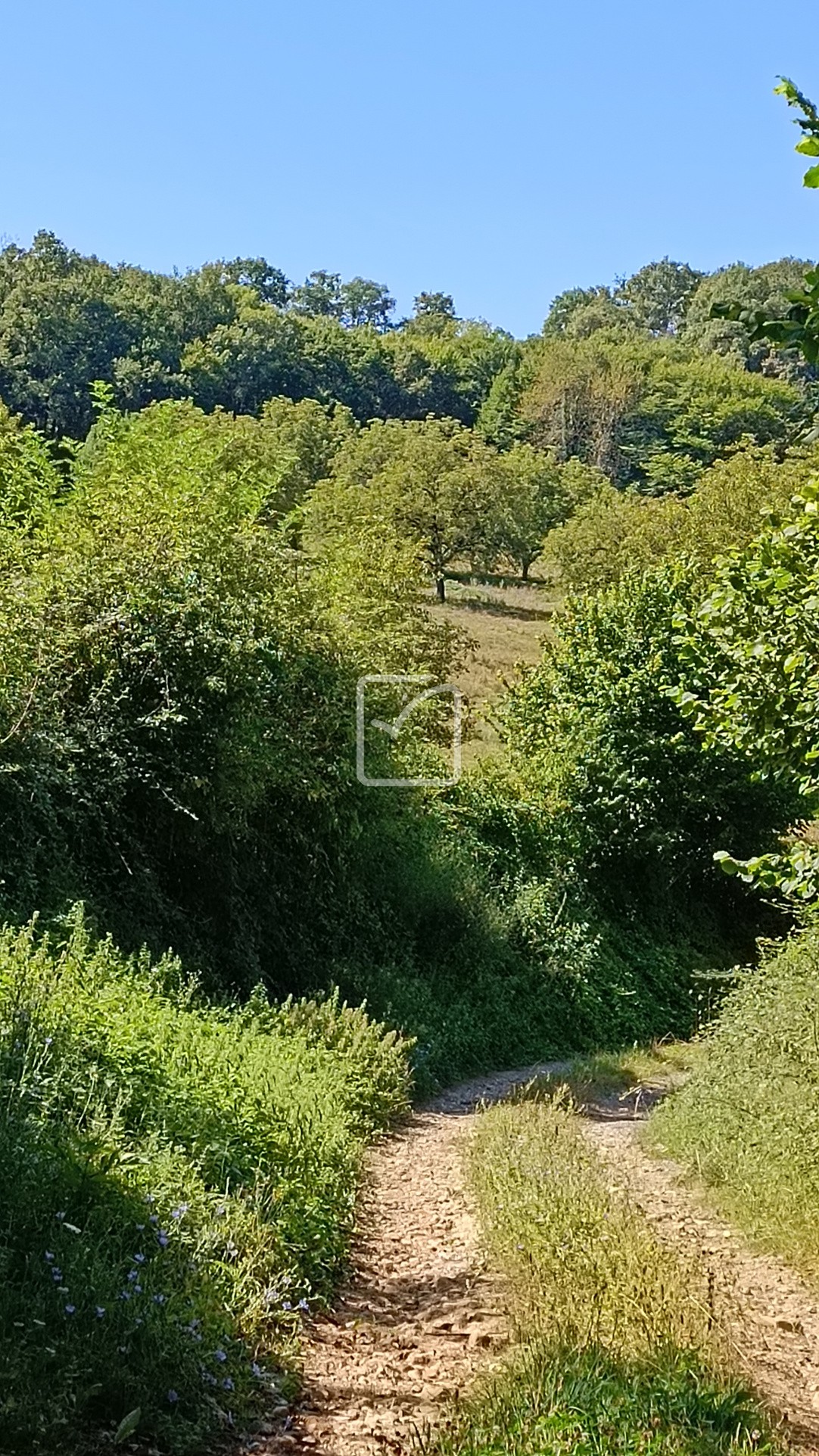 Vente Maison à Cherveix-Cubas 4 pièces