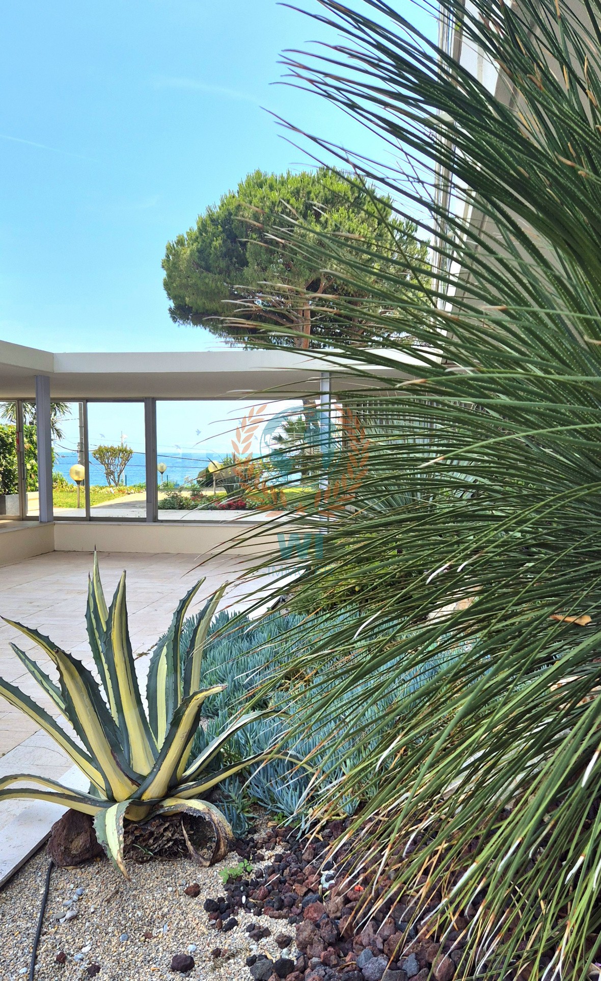 Vente Appartement à Cannes 2 pièces