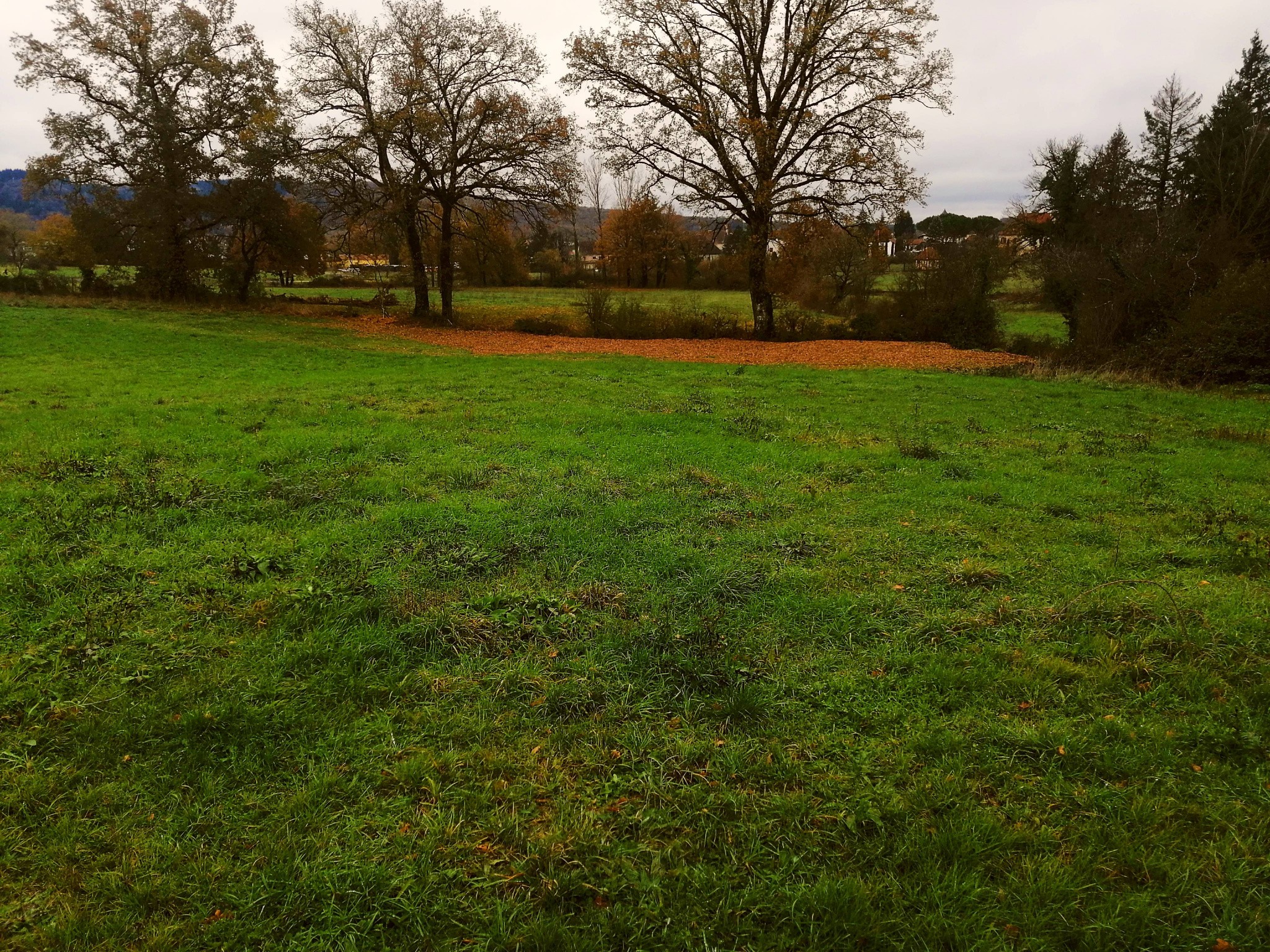 Vente Terrain à Lacapelle-Marival 0 pièce