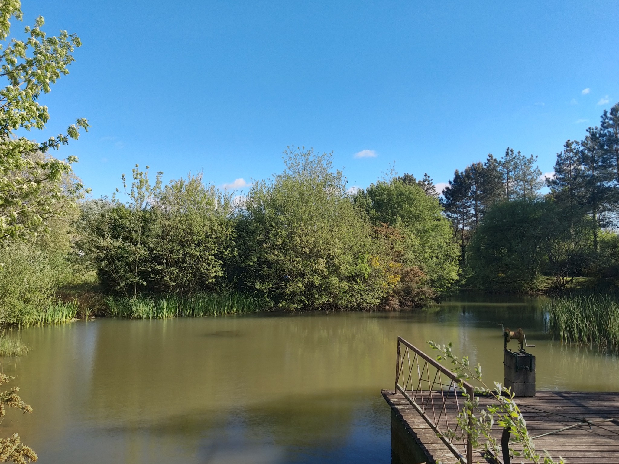 Vente Terrain à Talmont-Saint-Hilaire 0 pièce