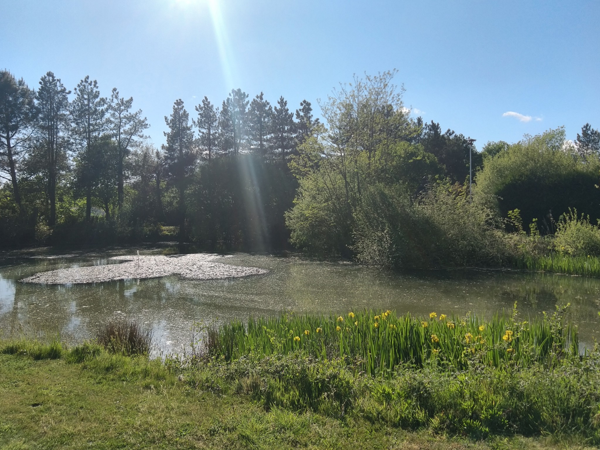 Vente Terrain à Talmont-Saint-Hilaire 0 pièce