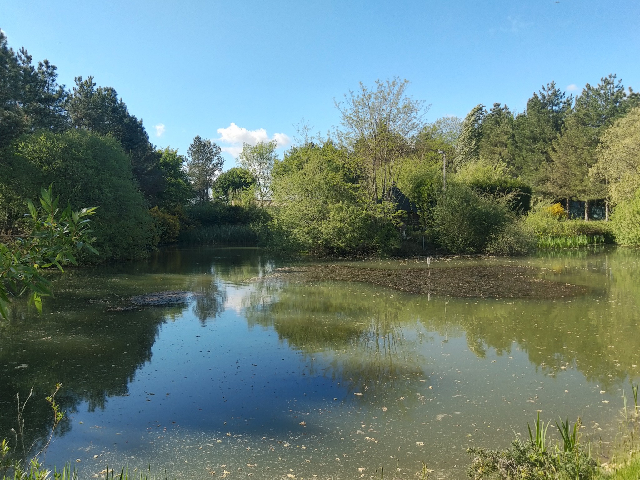 Vente Terrain à Talmont-Saint-Hilaire 0 pièce