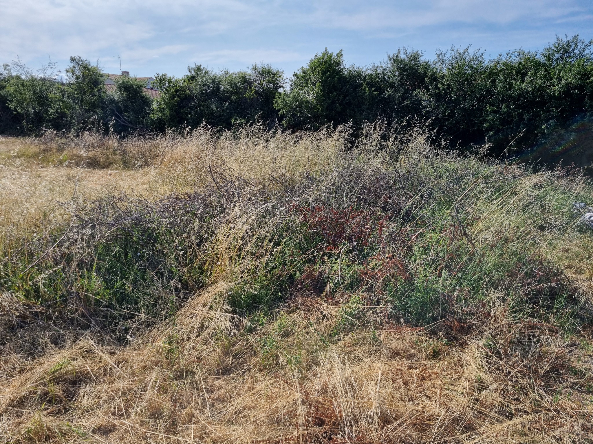 Vente Terrain à Château-d'Olonne 0 pièce