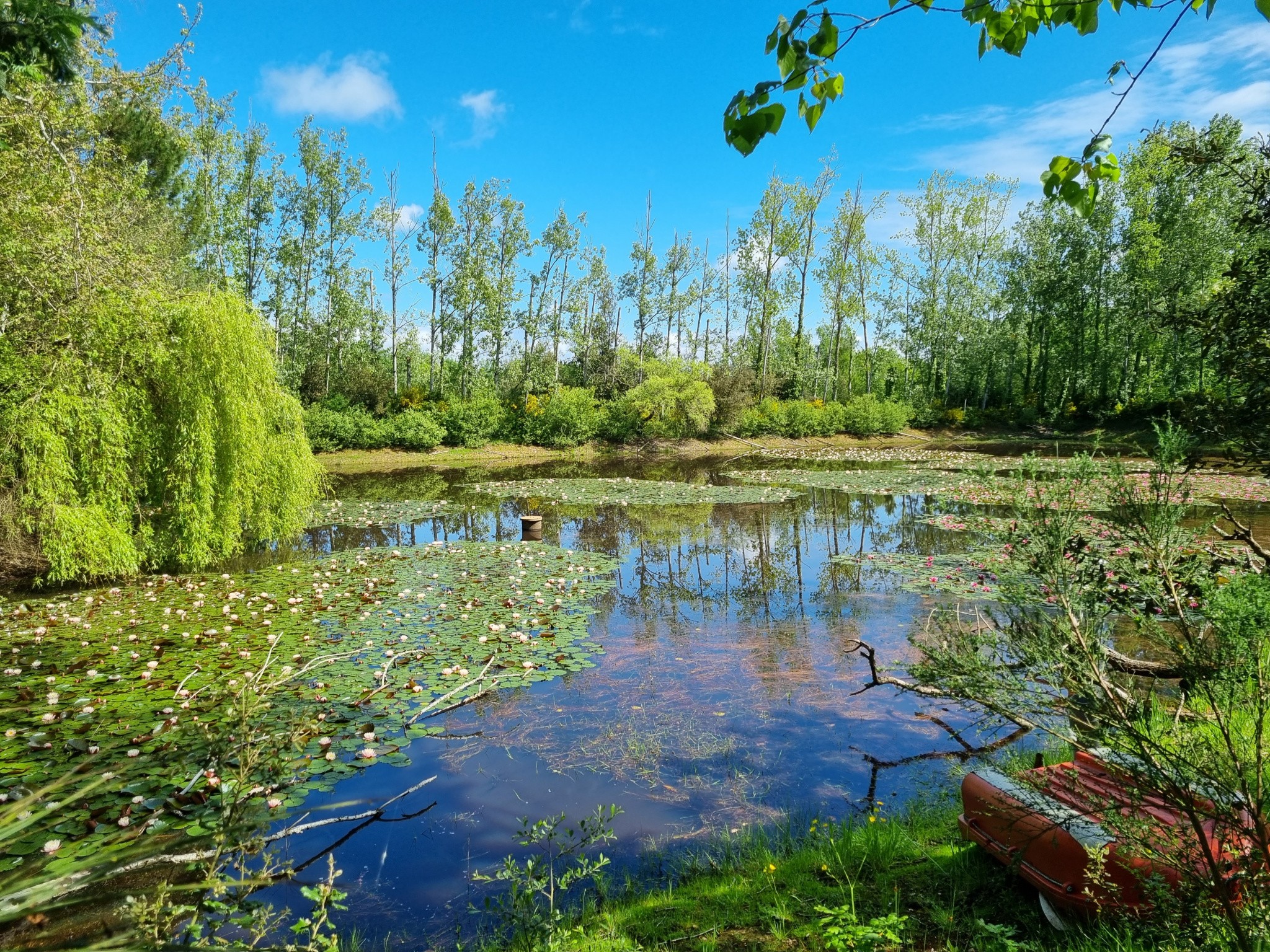 Vente Terrain à Talmont-Saint-Hilaire 0 pièce